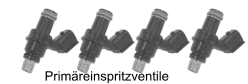 Prim�reinspritzventile