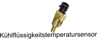 K�hlfl�ssigkeitstemperatursensor